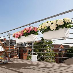 LECHUZA BALCONERA Color Trough Poly Resin Self-watering Planter