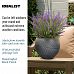 Leaf Embossed Ball Planter by Idealist Lite