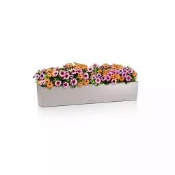 LECHUZA BALCONERA Color Trough Poly Resin Self-watering Planter