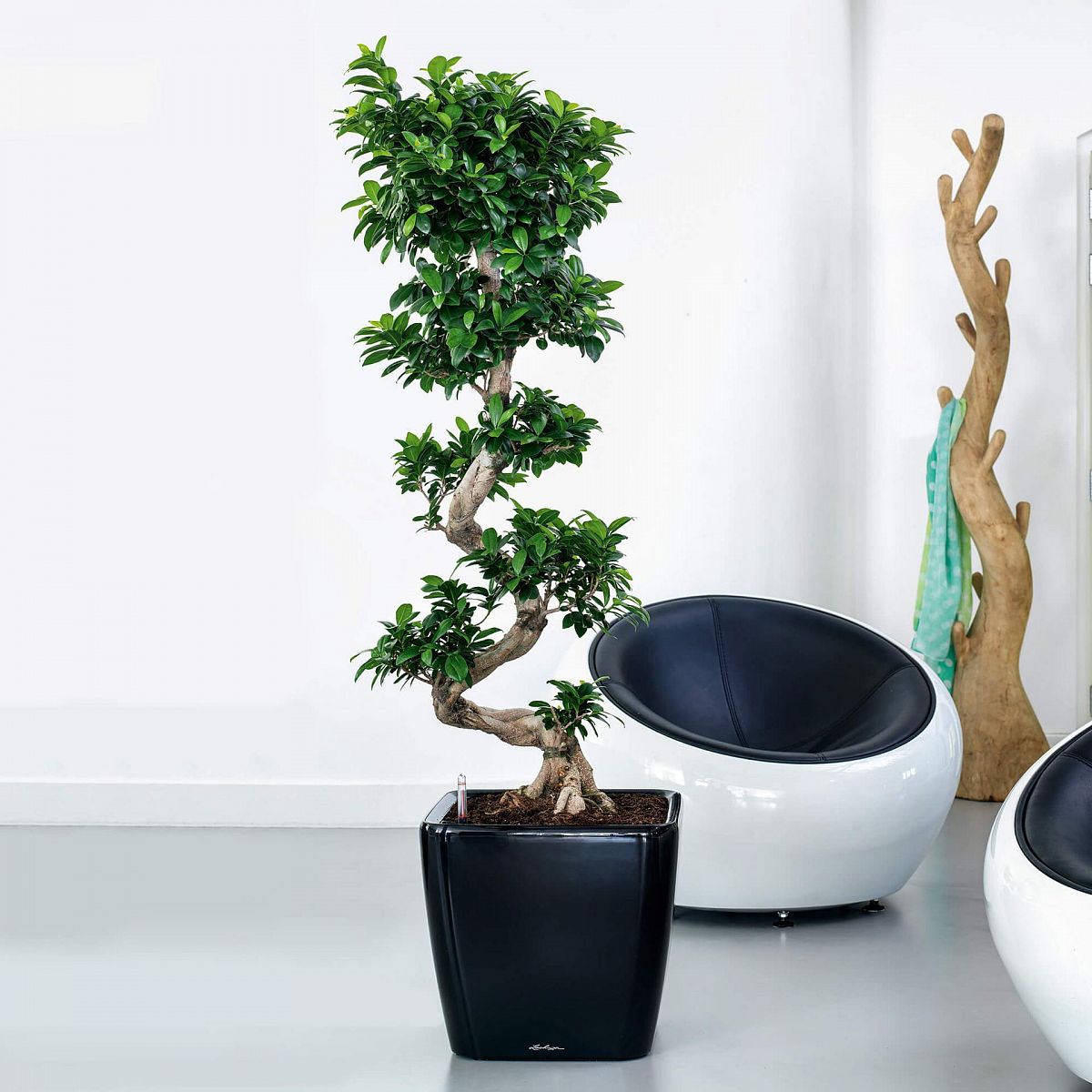 LECHUZA Quadro LS Square Poly Resin Self-watering Planter