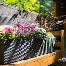 LECHUZA BALCONERA Cottage Trough Poly Resin Self-watering Planter