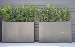 AXIS Trough Outdoor Fiberglass Planter