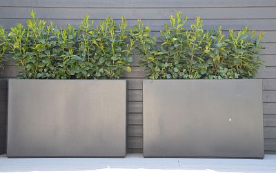 AXIS Trough Outdoor Fiberglass Planter
