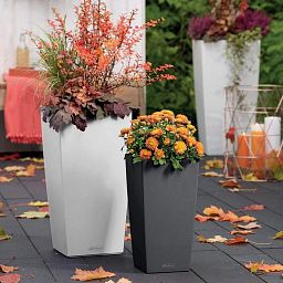 LECHUZA CUBICO Color Square Tall Poly Resin Self-watering Planter