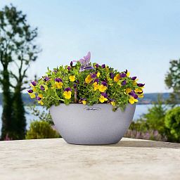 LECHUZA CUBETO COLOR Round Stone Look Poly Resin Self-watering Planter Set