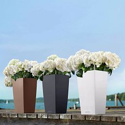 LECHUZA CUBICO Color Square Tall Poly Resin Self-watering Planter