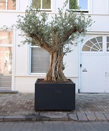Florida Outdoor Aluminum Square Planter