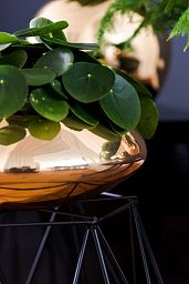 Round Fiberstone Bowl Glossy Tara Planter by Idealist Premium