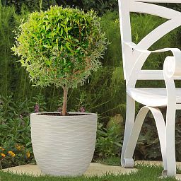 IDEALIST Lite Wave Style Outdoor Egg Planter