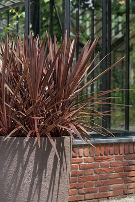 Fibrestone Ben Tall Planter by Idealist Premium