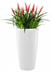 Blooming Vriesea Astrid in LECHUZA RONDO Self-watering Planter, Total Height 90 cm