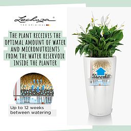 LECHUZA Rondo Round Tall Poly Resin Self-watering Planter