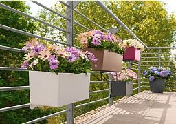 LECHUZA BALCONERA Color Trough Poly Resin Self-watering Planter Set