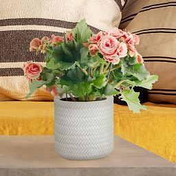 IDEALIST Lite Plaited Style Table and Hanging Cylinder Round Plant Pot Dual Use Indoor Planter