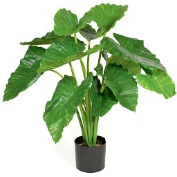 ALOCASIA CALIDORA Artificial Tree Plant