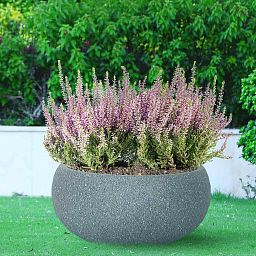 IDEALIST Lite Textured Concrete Effect Bowl Outdoor Planter