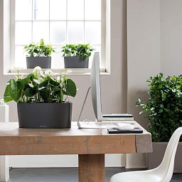 LECHUZA DELTA 10|DELTA 20 Poly Resin Indoor Self-watering Planter
