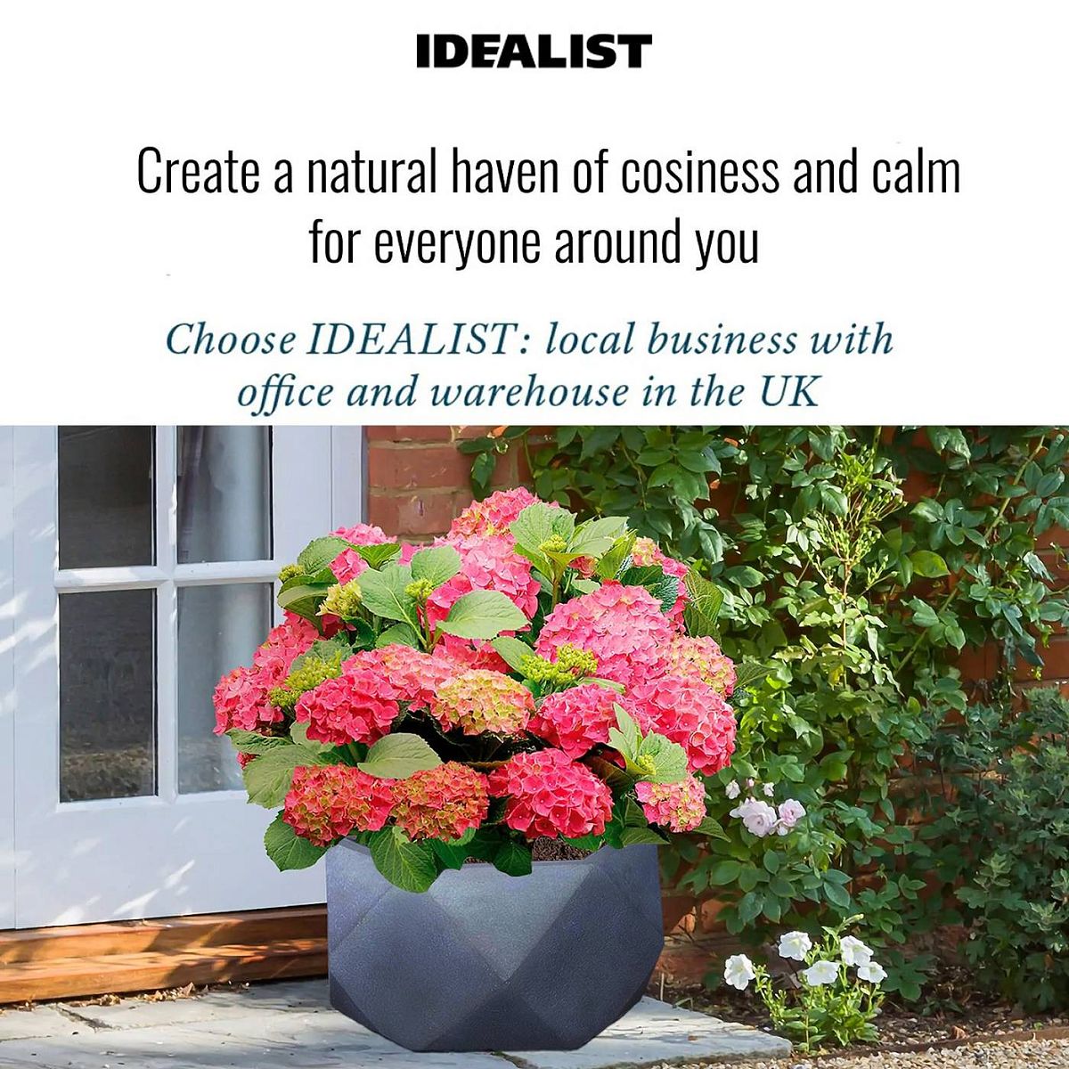 IDEALIST Lite Faceted Effect Bowl Planter Indoor Plant Pot