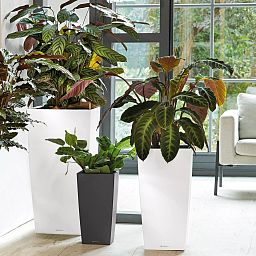 LECHUZA CUBICO Square Tall Poly Resin Self-watering Planter