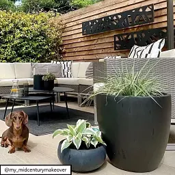 IDEALIST Lite Contemporary Light Concrete Egg Planter