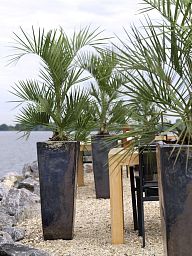 Ceramic Square Tall Glossy Planter Pot In/Out