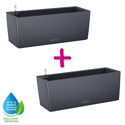 LECHUZA BALCONERA Color Trough Poly Resin Self-watering Planter Set