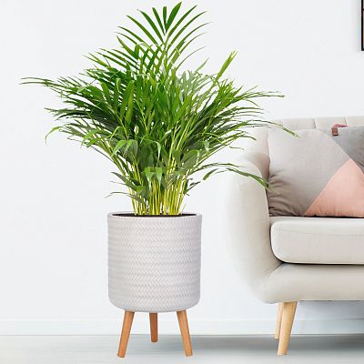 IDEALIST Lite Plaited Style Cylinder Planter on Legs, Round Pot Plant Stand Indoor