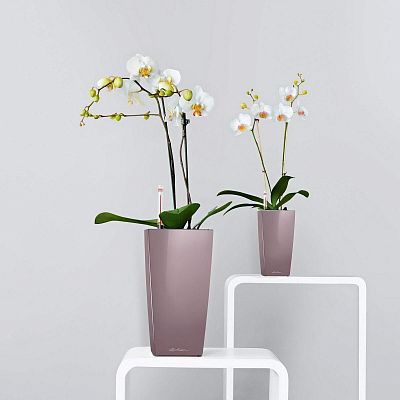 LECHUZA CUBI Square Poly Resin Indoor Self-watering Planter