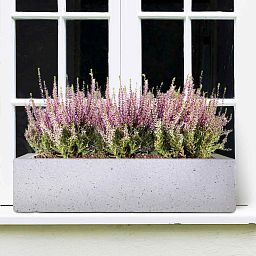 IDEALIST Lite Window Box Light Concrete Planter