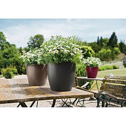 LECHUZA CLASSICO Color Round Poly Resin Self-watering Planter Set