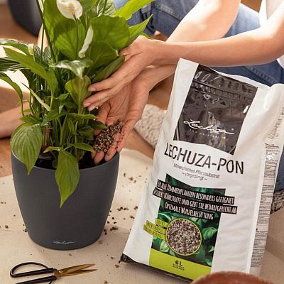 LECHUZA PON Peat-Free Houseplant Potting Mix for Indoor Plants Potting Compost for Plants Indoors