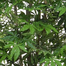 Maple Japanese Flame Retardant Artificial Tree Plant