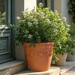 Citrus Fiberglass Round Tall Terracotta Planter Pot In/Out