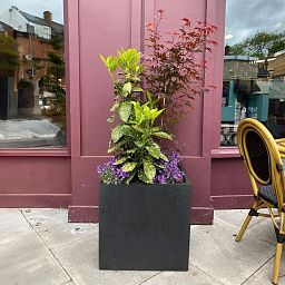 IDEALIST Lite Square Box Contemporary Light Concrete Planter