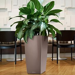 LECHUZA CUBICO Square Tall Poly Resin Self-watering Planter