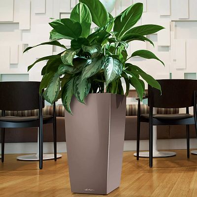LECHUZA CUBICO Square Tall Poly Resin Self-watering Planter