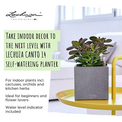 LECHUZA CANTO Stone Low Square Poly Resin Self-watering Planter Set