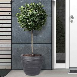 IDEALIST Lite Row Light Concrete Egg Planter
