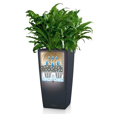 LECHUZA CUBICO Color Square Tall Poly Resin Self-watering Planter