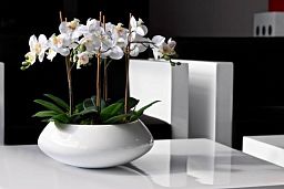 Round Fiberstone Bowl Glossy Tara Planter by Idealist Premium