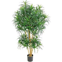 DRACAENA REFLEXA Artificial Tree Plant