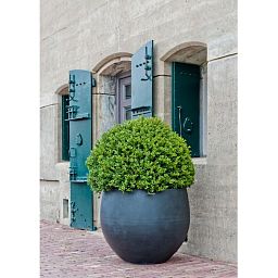 Fibrestone Jumbo Orb Round Planter by Idealist Premium