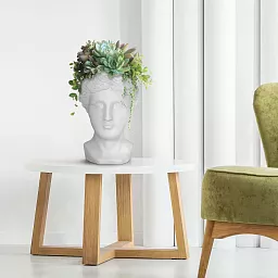 IDEALIST Lite Antique Face Plant Pot Indoor Head Planter