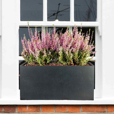 IDEALIST Lite Contemporary Light Concrete Trough Planter Set