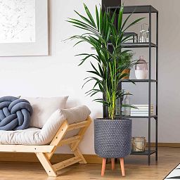 IDEALIST Lite Honeycomb Style Cylinder Planter on Legs, Round Pot Plant Stand Indoor