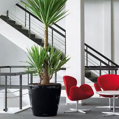 LECHUZA CLASSICO LS Round Poly Resin Self-watering Planter