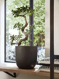 Tall Resin Planter by Cadix Capi Tutch Round
