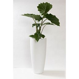 Fibrestone Dax Tall Planter by Idealist Premium