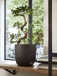 Tall Resin Planter by Cadix Capi Tutch Round