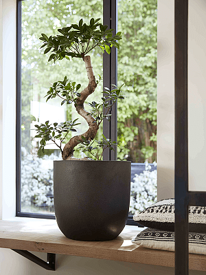 Tall Resin Planter by Cadix Capi Tutch Round